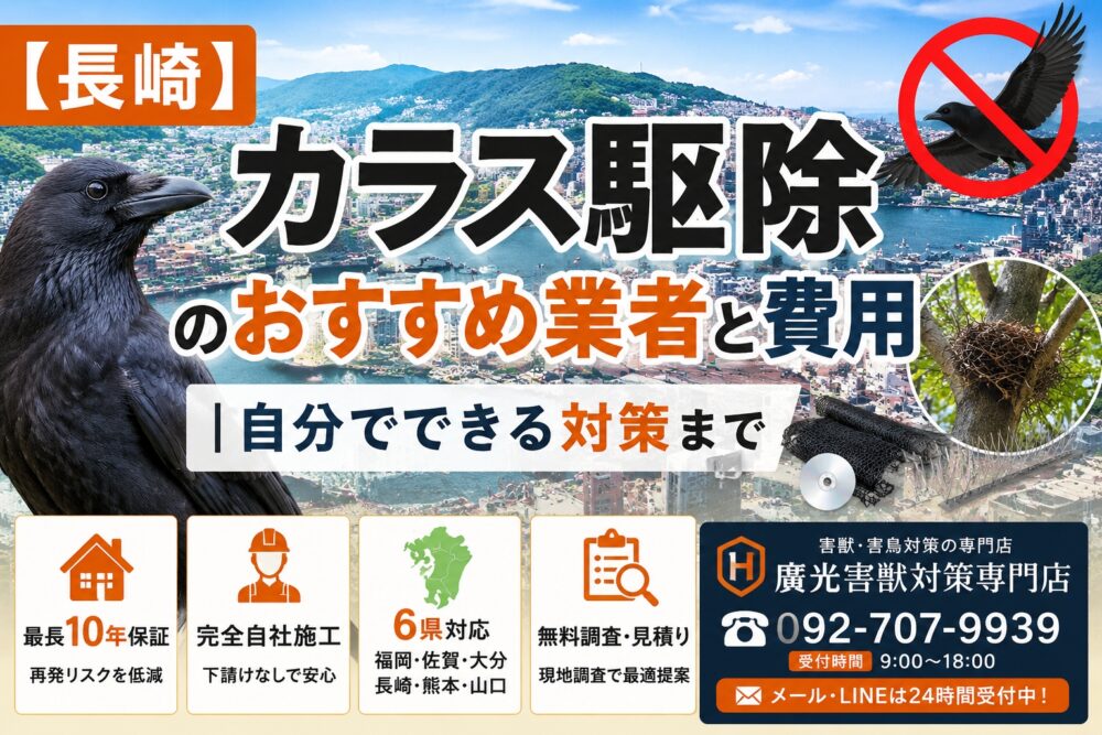 【長崎】カラス駆除のおすすめ業者と費用｜自分でできる対策まで解説