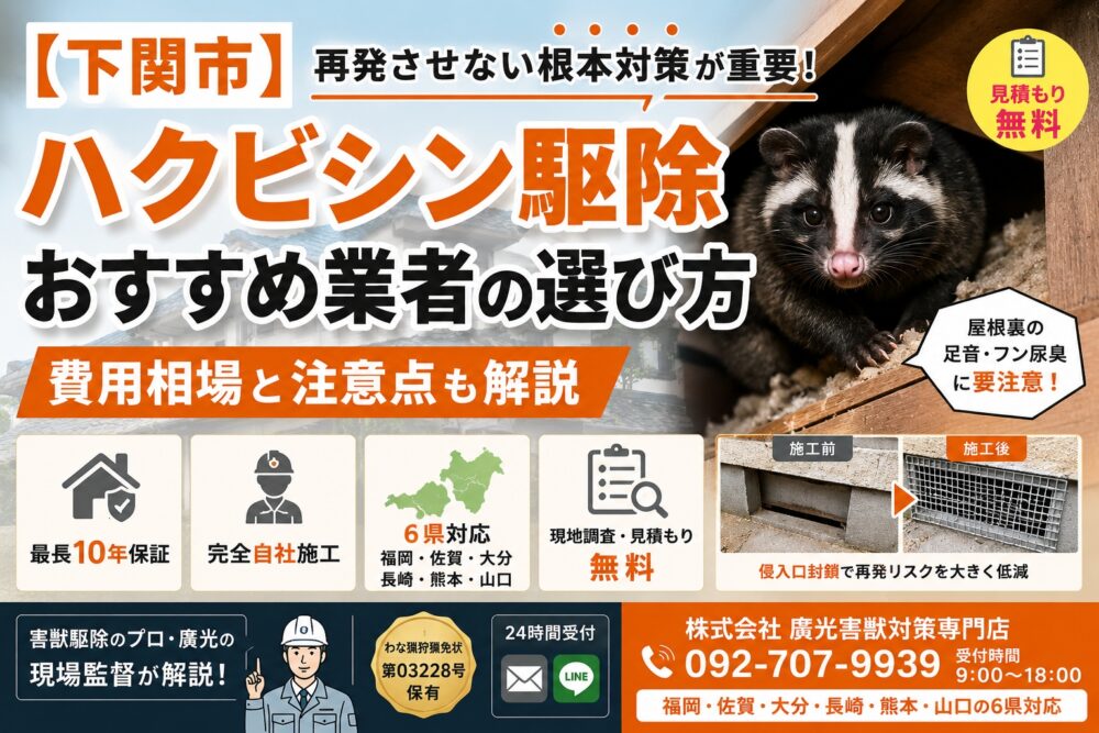 【下関市】ハクビシン駆除おすすめ業者の選び方｜費用相場と注意点も解説