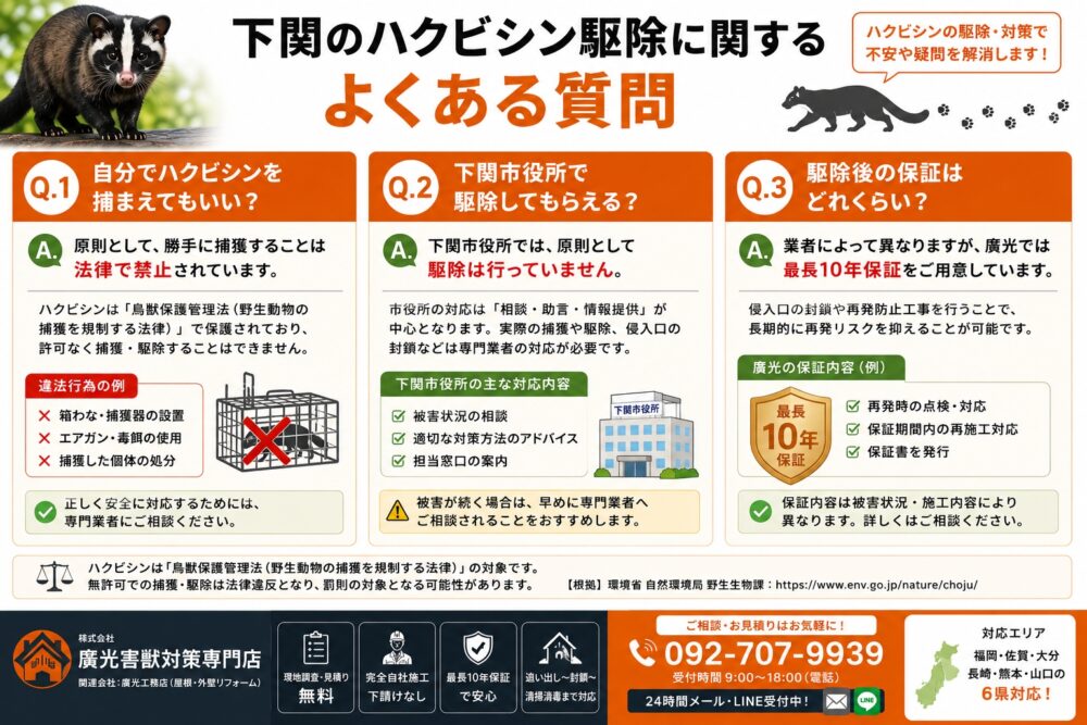 下関のハクビシン駆除に関するよくある質問