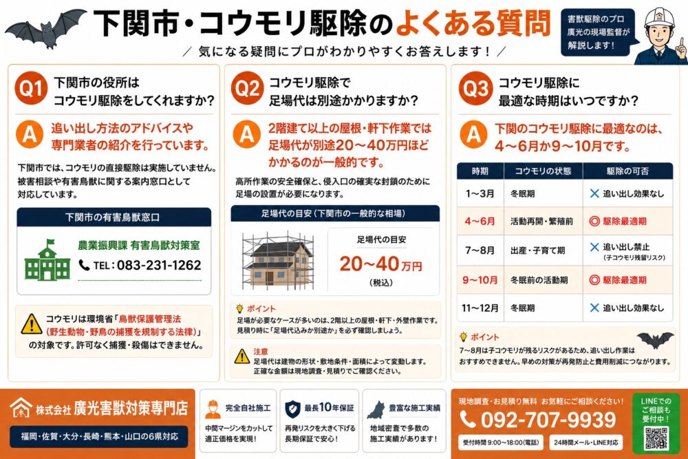 下関市・コウモリ駆除のよくある質問