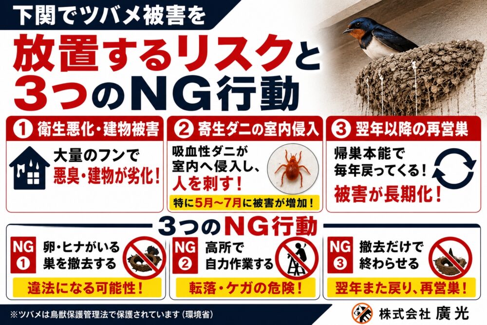 下関でツバメ被害を放置するリスクと3つのNG行動