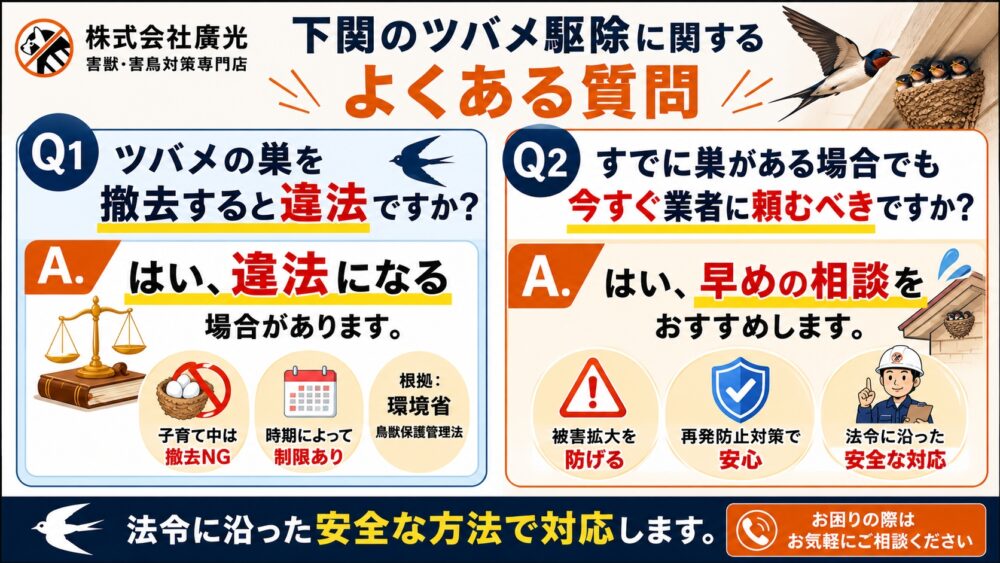 下関のツバメ駆除に関するよくある質問