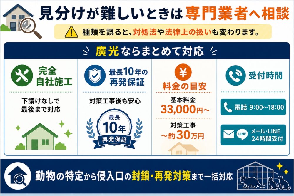 自力での見分け方が難しいときは専門業者へ