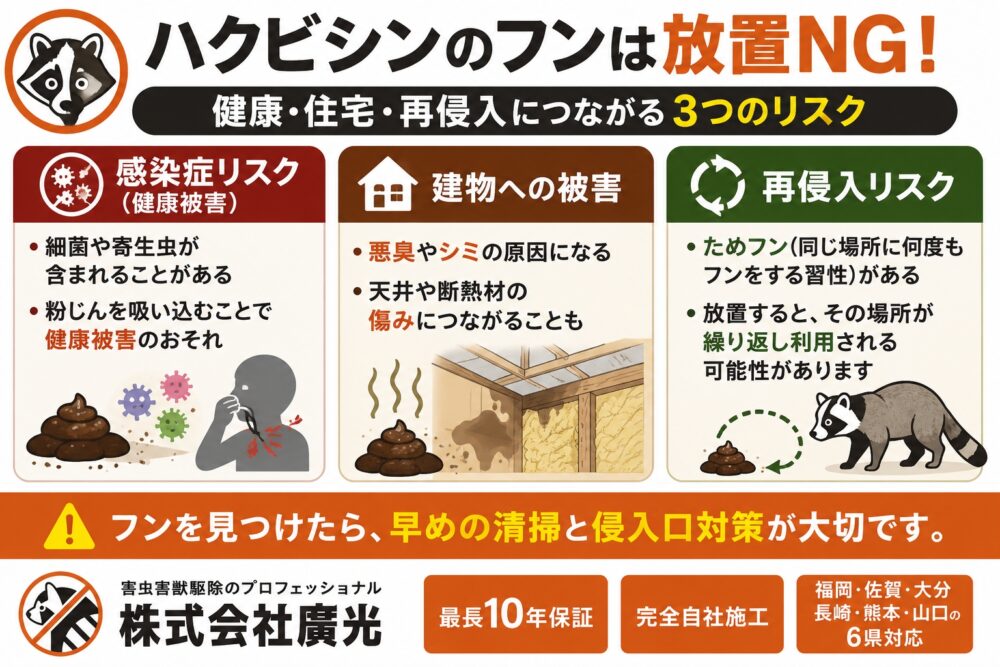 ハクビシンのフンを放置するリスク