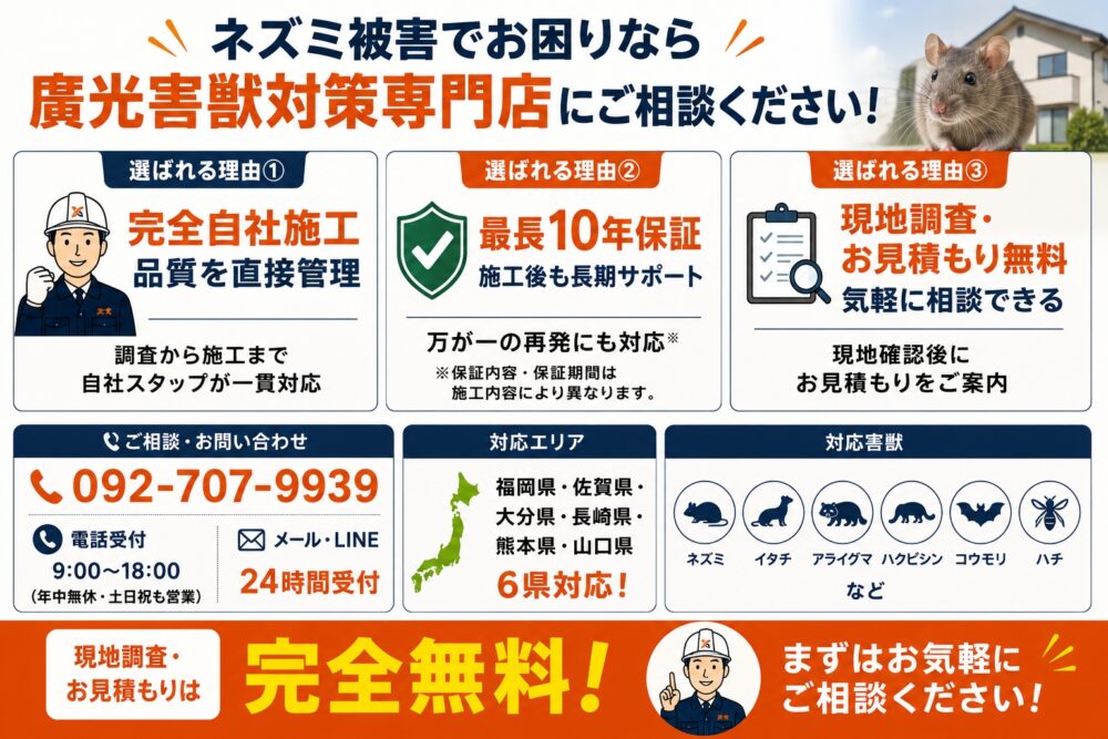 ネズミ被害でお困りなら廣光害獣対策専門店にご相談ください