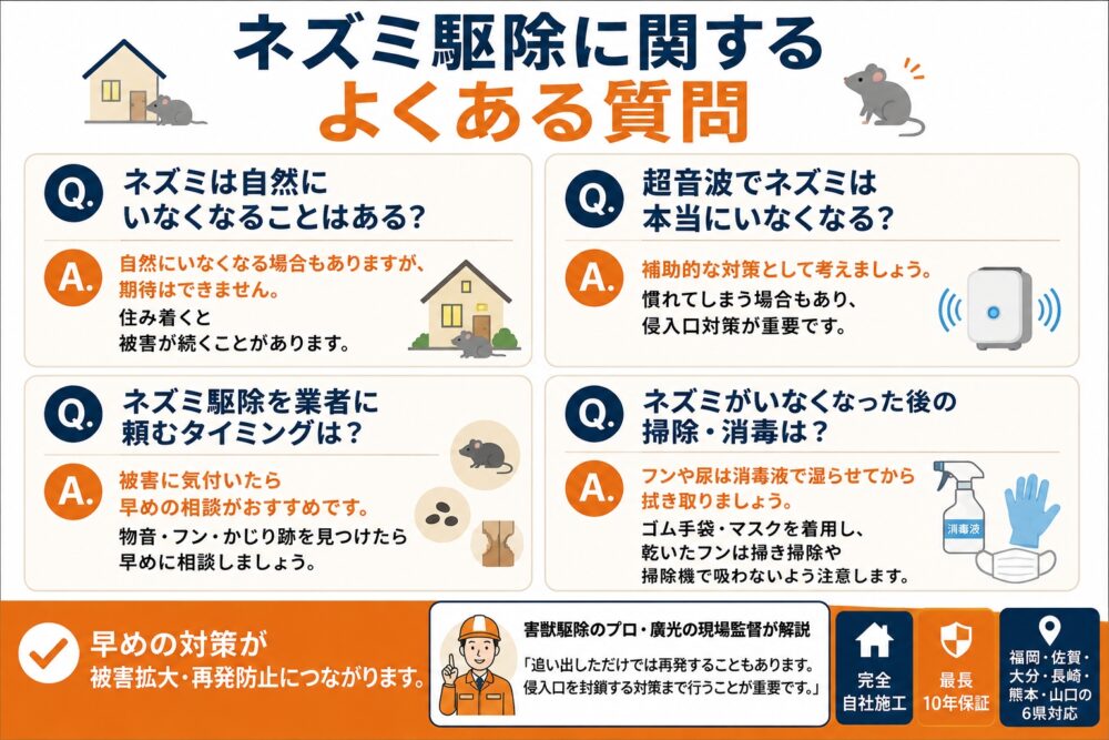 ネズミ駆除に関するよくある質問