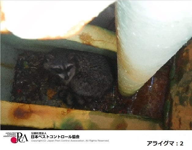ポイント⑤今すぐできる応急処置
