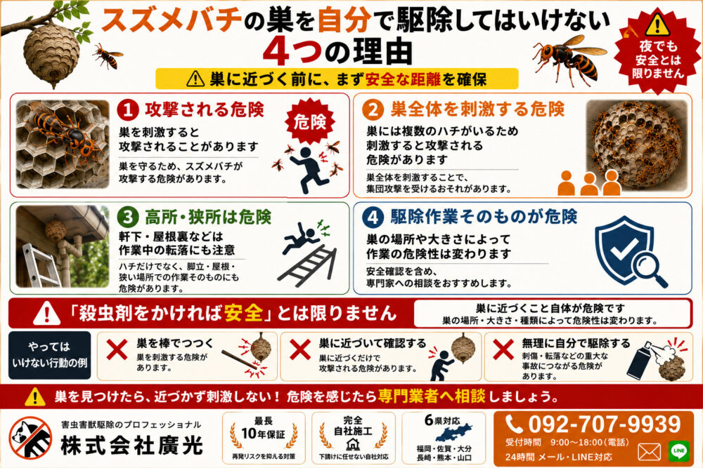 スズメバチの巣を自分で駆除してはいけない4つの理由