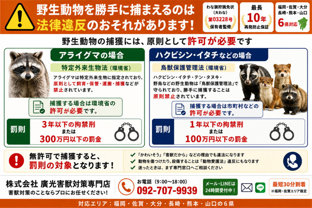 法律と罰則を解説