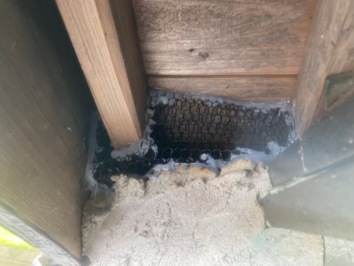 アライグマによる被害　株式会社H　T様　駆除実績