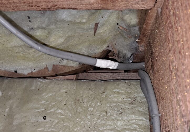 福岡県柳川市　ネズミによる被害　K様邸　駆除実績