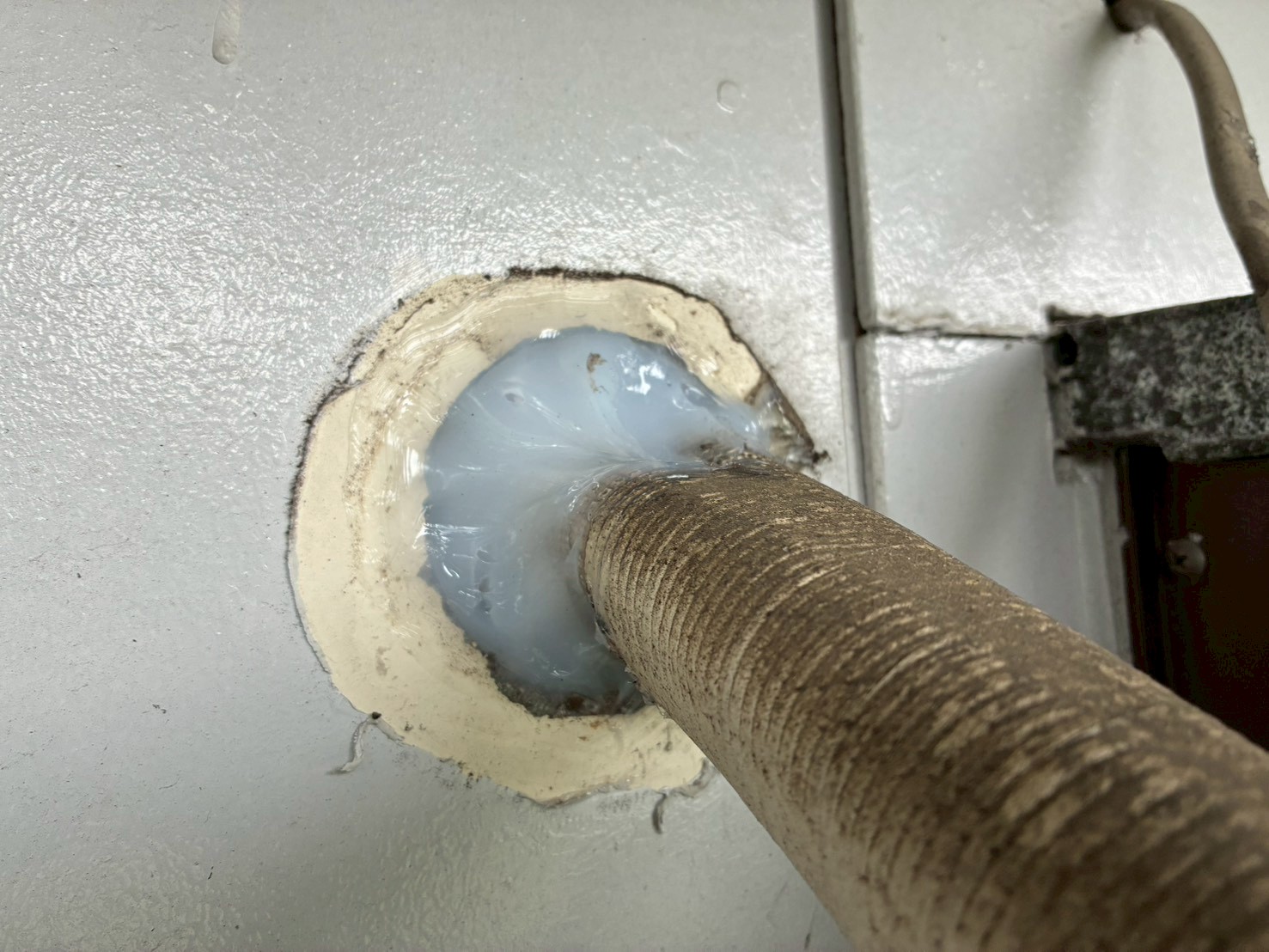 福岡県糟屋郡篠栗町　イタチによる被害　H様邸　駆除実績