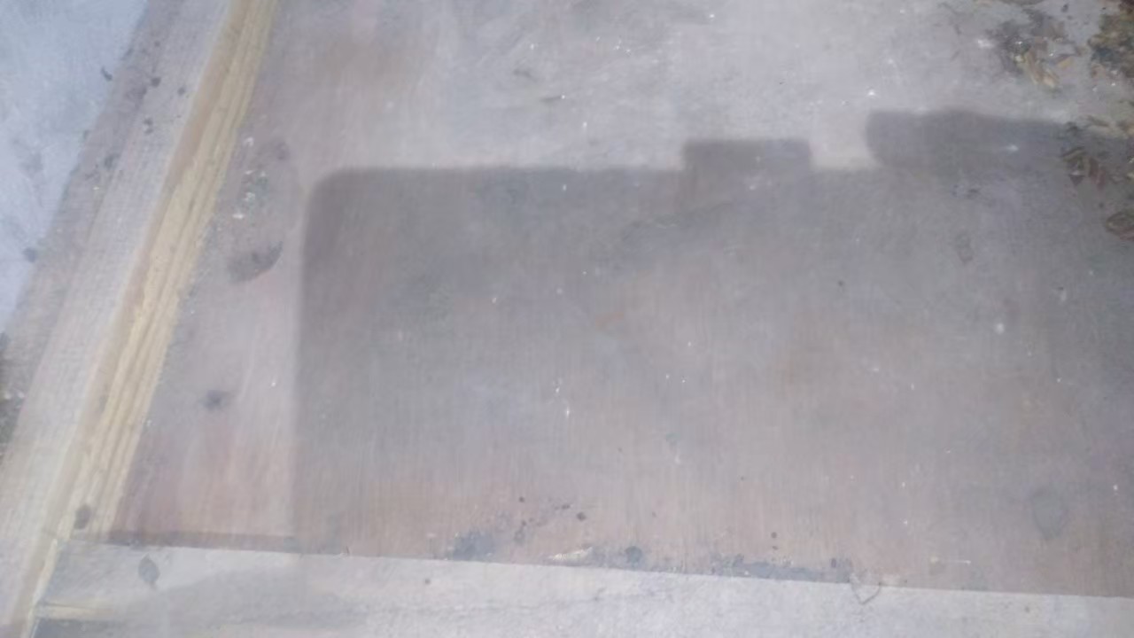 福岡県飯塚市　アライグマによる被害　M様邸　駆除実績