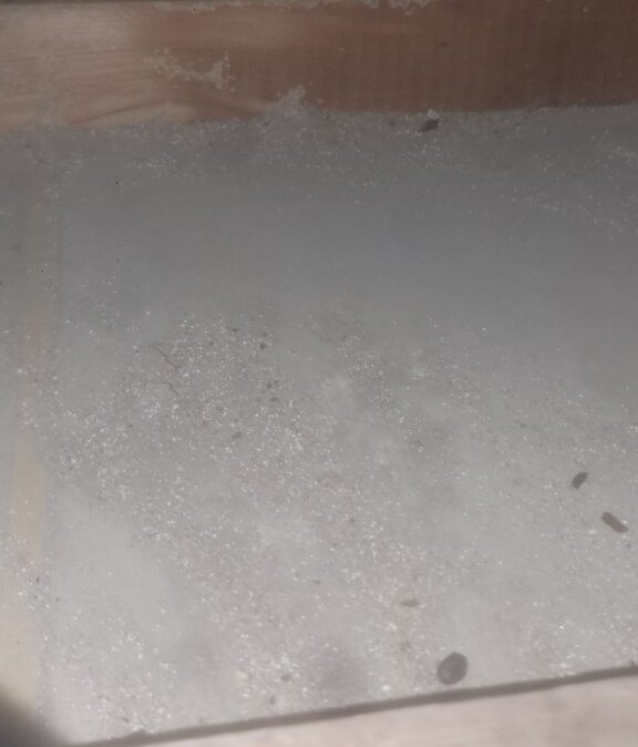 佐賀県鳥栖市　ネズミによる被害　M様邸　駆除実績