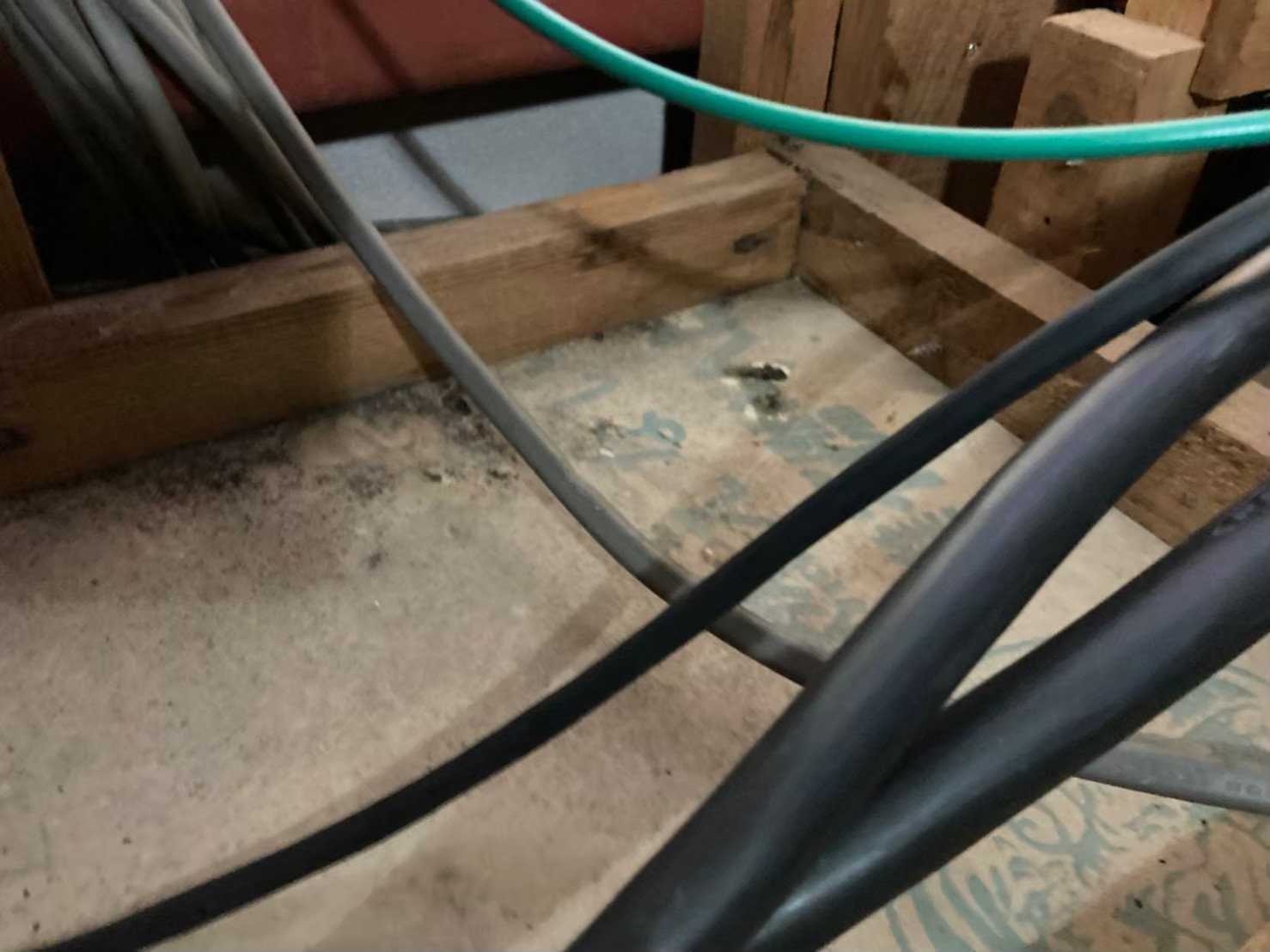 佐賀県神崎市　ネズミによる被害　T様邸　駆除実績