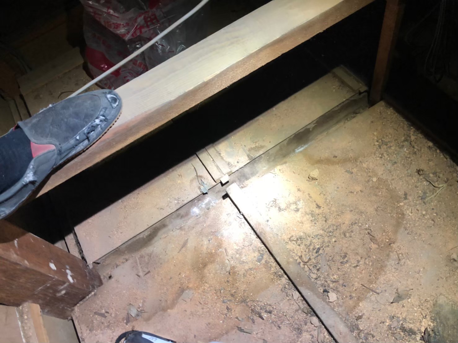 福岡県久留米市　アライグマによる被害　U様邸　駆除実績