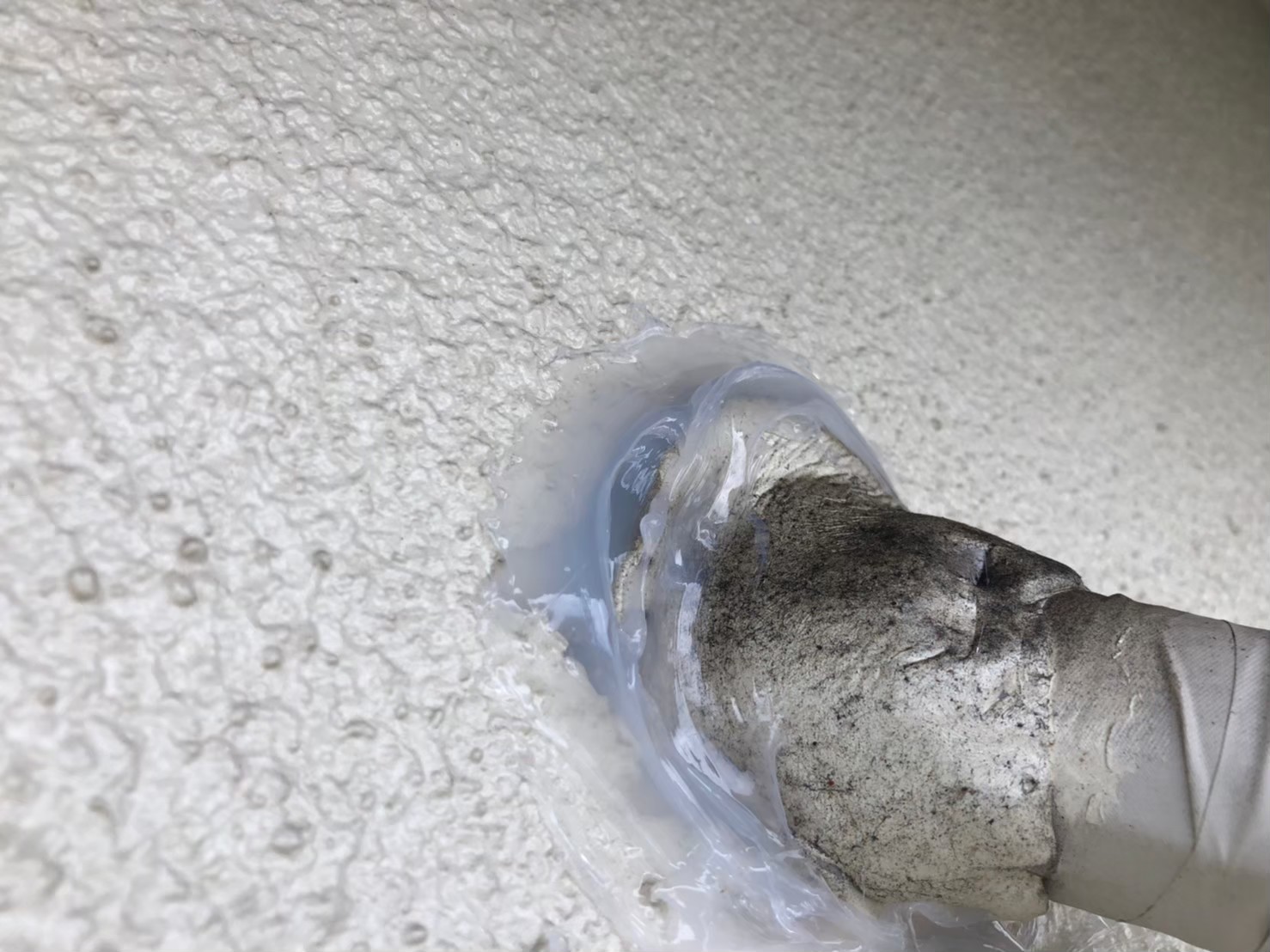 福岡県春日市　ネズミによる被害　N様邸　駆除実績