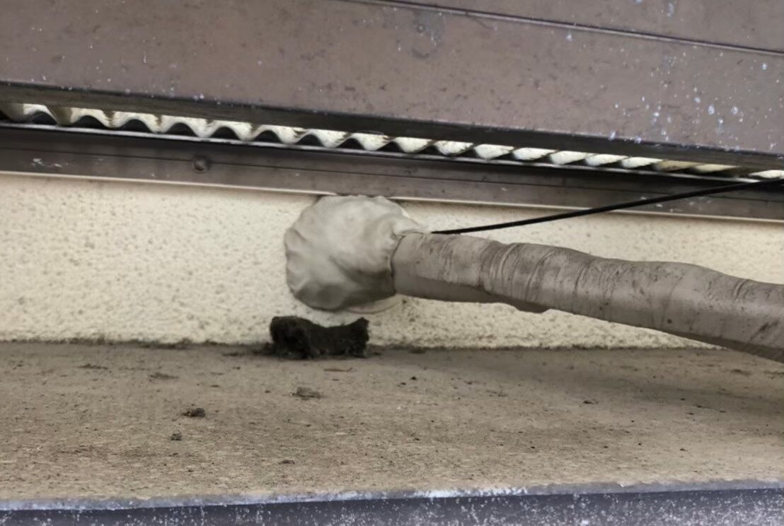 イタチによる被害　O様邸　駆除実績