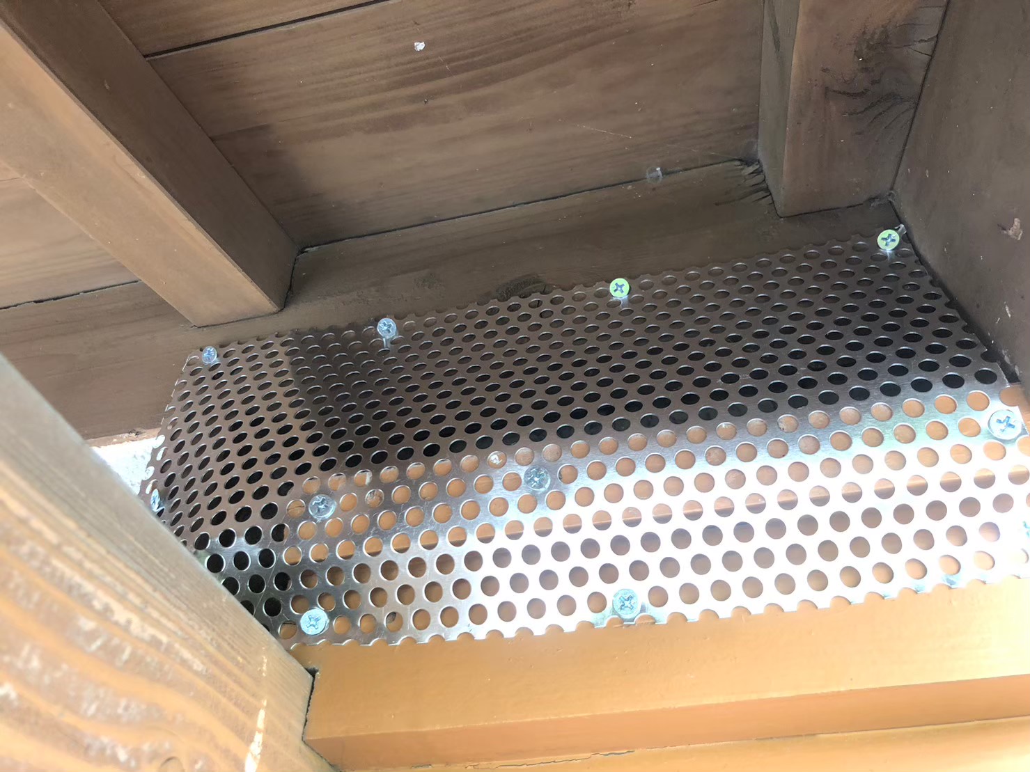 佐賀県うきは市　イタチによる被害　G様邸　駆除実績