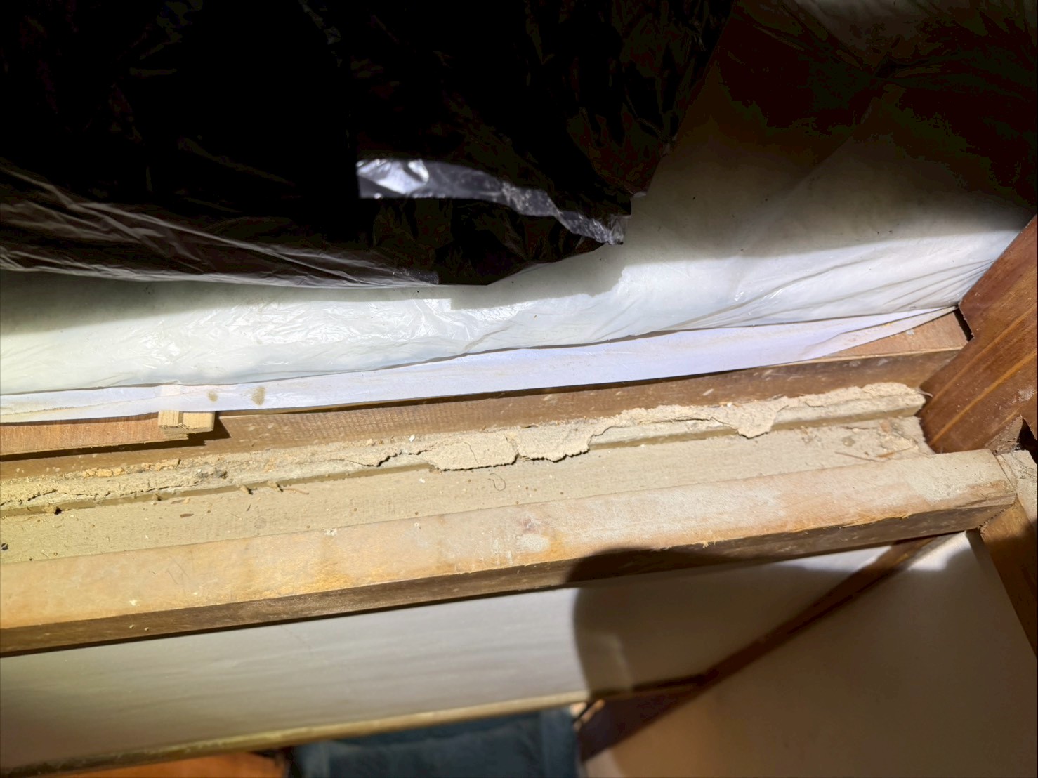 福岡県糟屋郡篠栗町　アライグマによる被害　T様邸　駆除実績