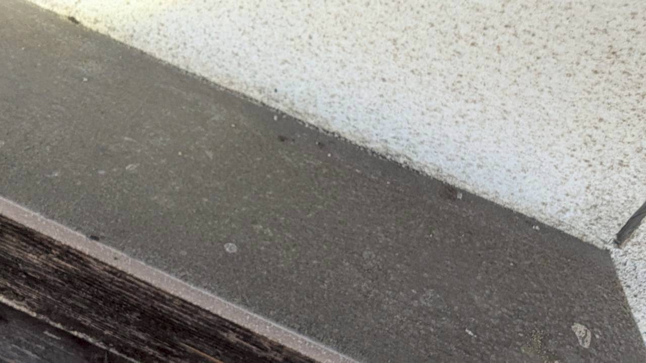 福岡県福岡市　ネズミによる被害　H様邸　駆除実績