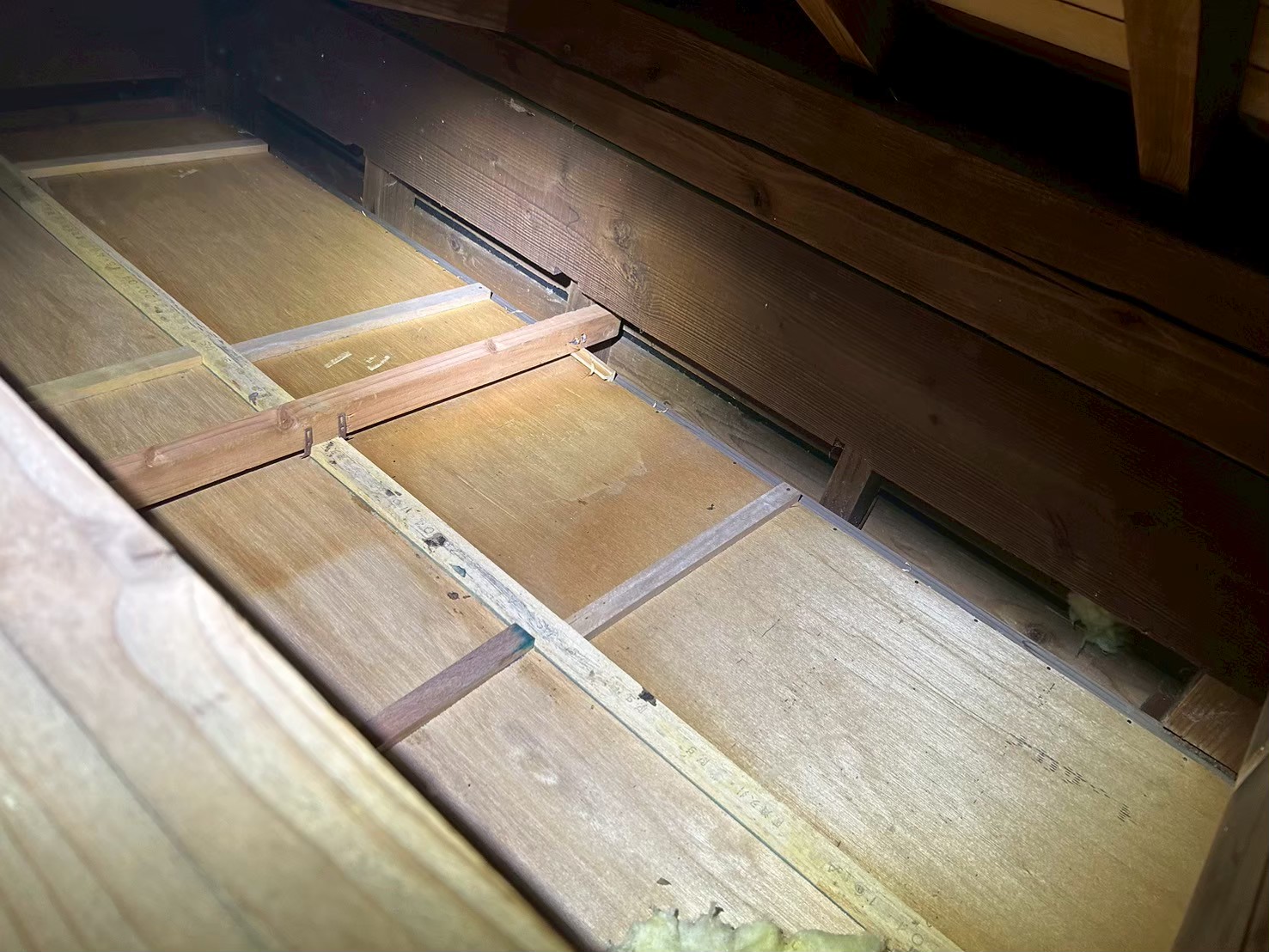 大分県大分市　アライグマによる被害　T様邸