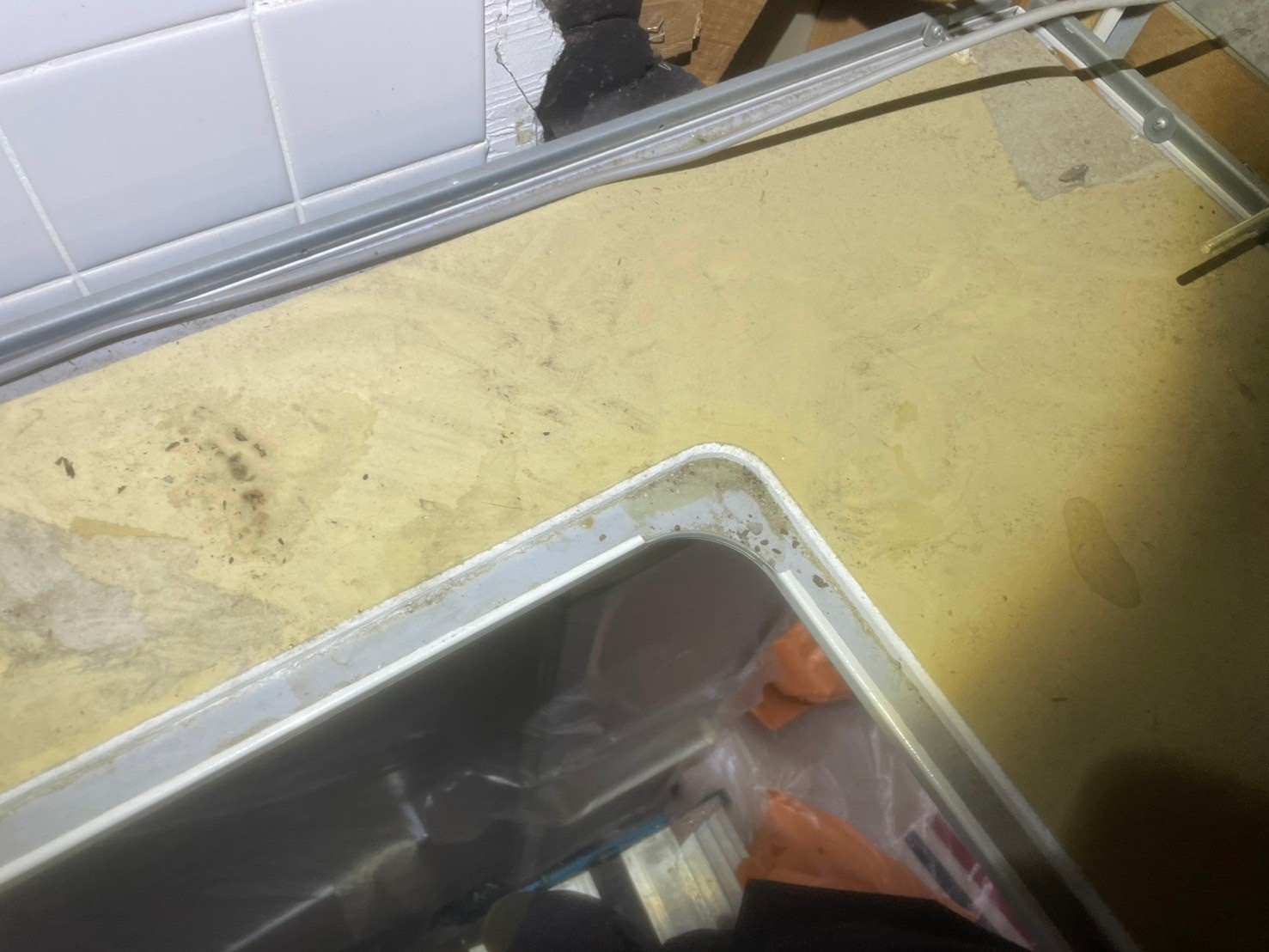 山口県下関市　イタチによる被害　W様邸　駆除実績