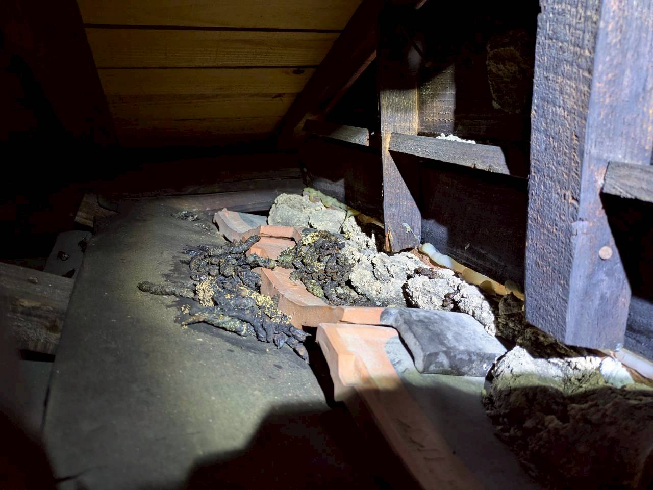 大分県別府市　イタチによる被害　E様邸　契約書