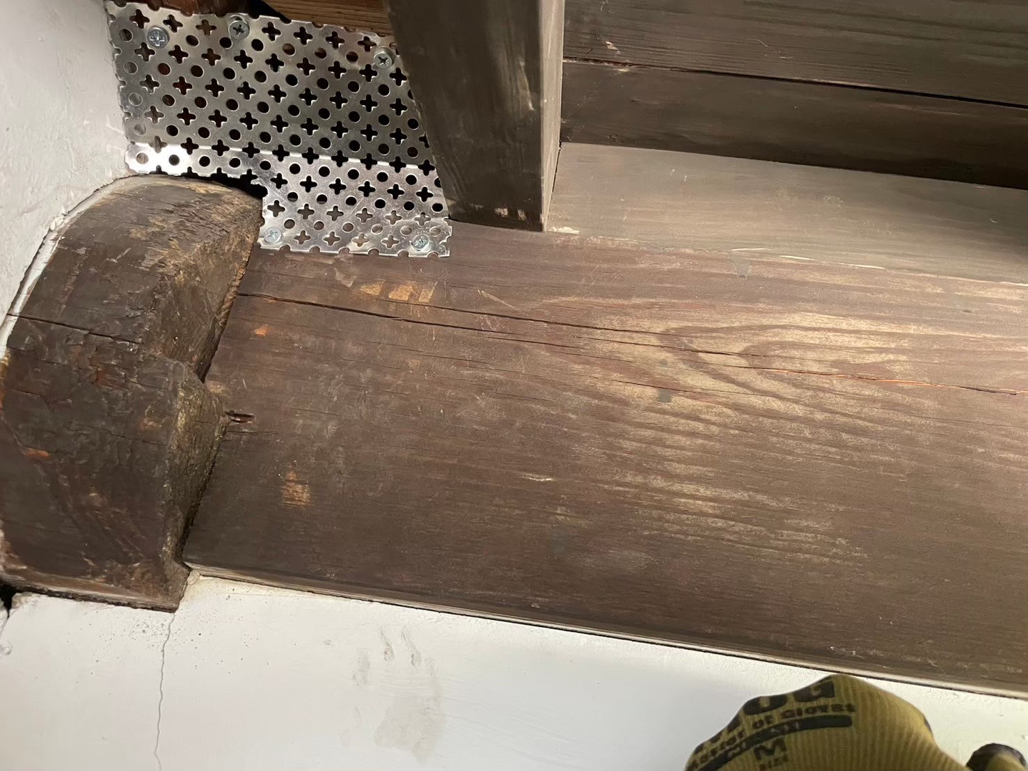 大分県中津市　アライグマによる被害　H様邸　駆除実績