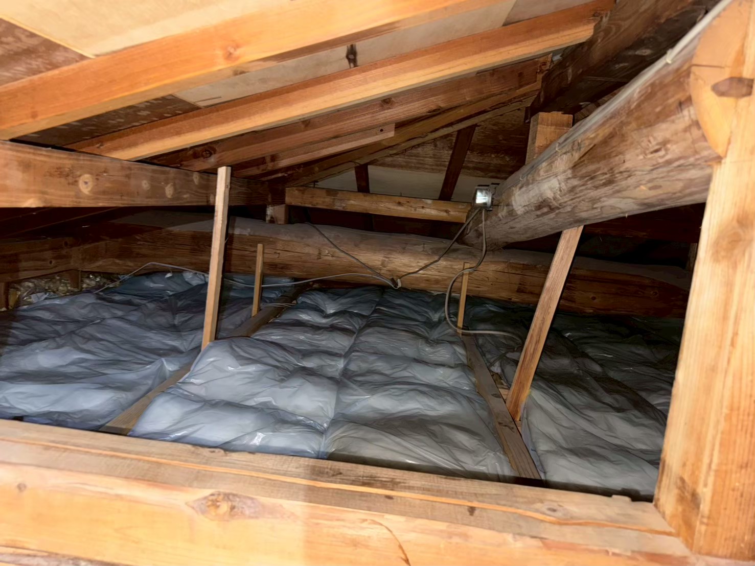 熊本県上天草市　イタチによる被害　H様邸　駆除実績