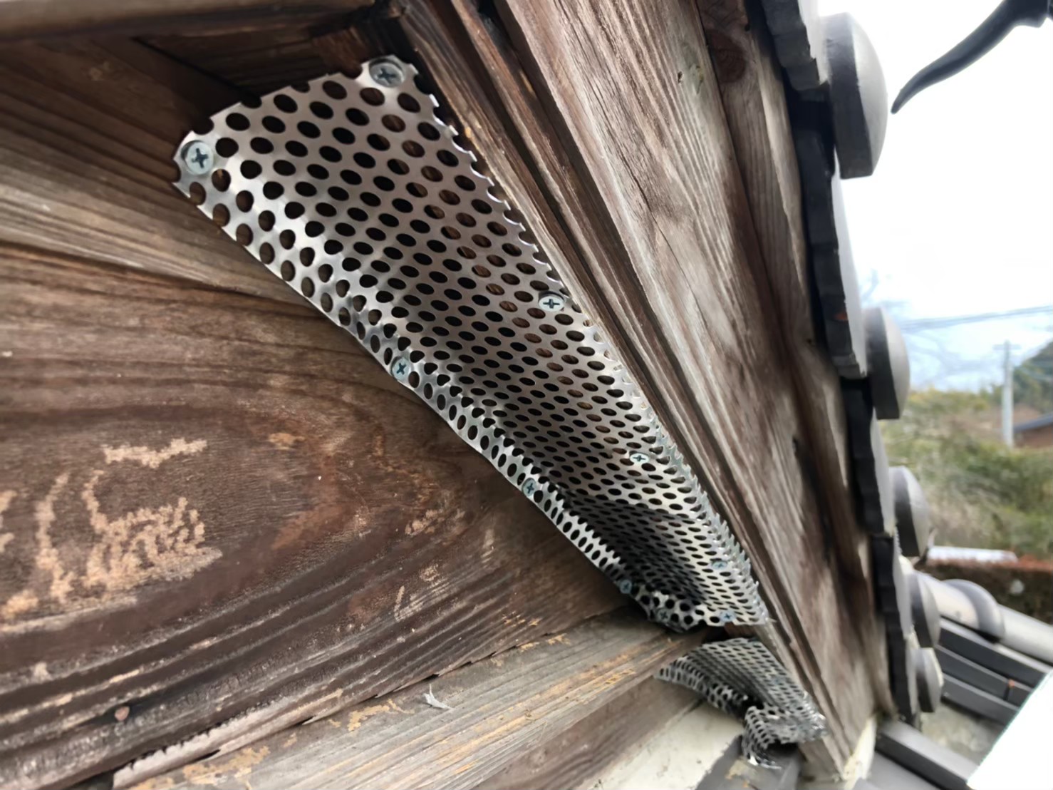 ハクビシンによる被害　M様邸　駆除実績