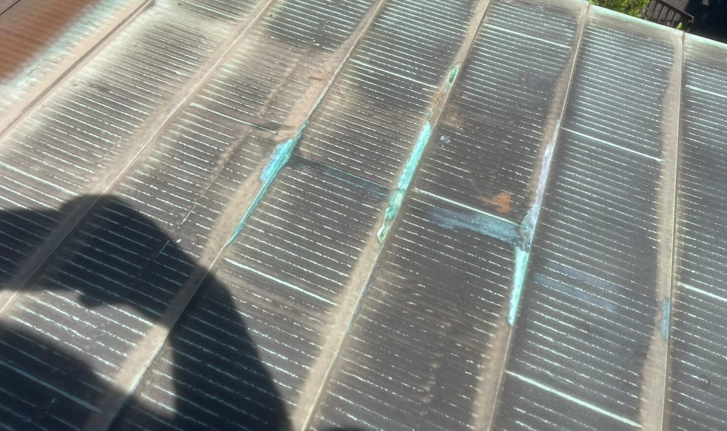 山口県山陽小野田市　イタチによる被害　S様邸　駆除実績