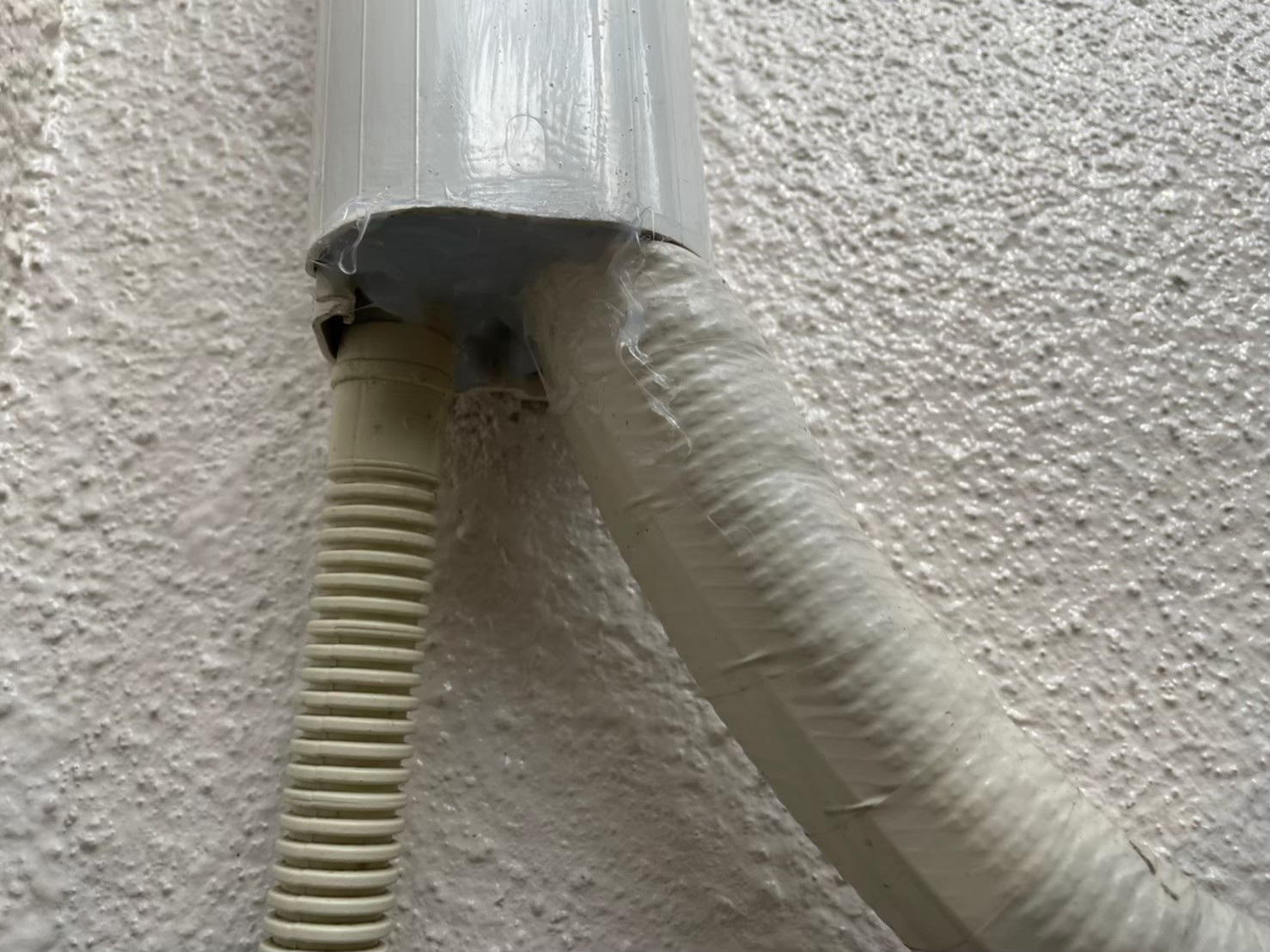 コウモリによる被害　Y様邸　駆除実績