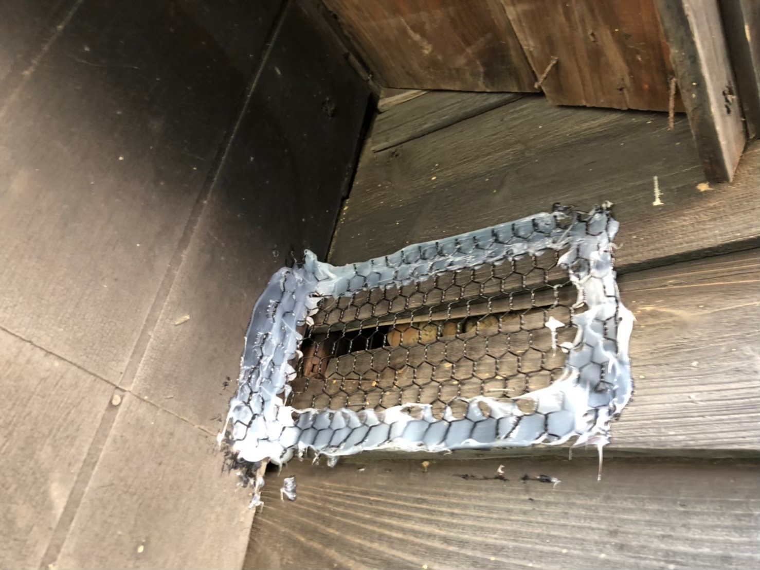 イタチによる被害　株式会社E　N様　駆除実績