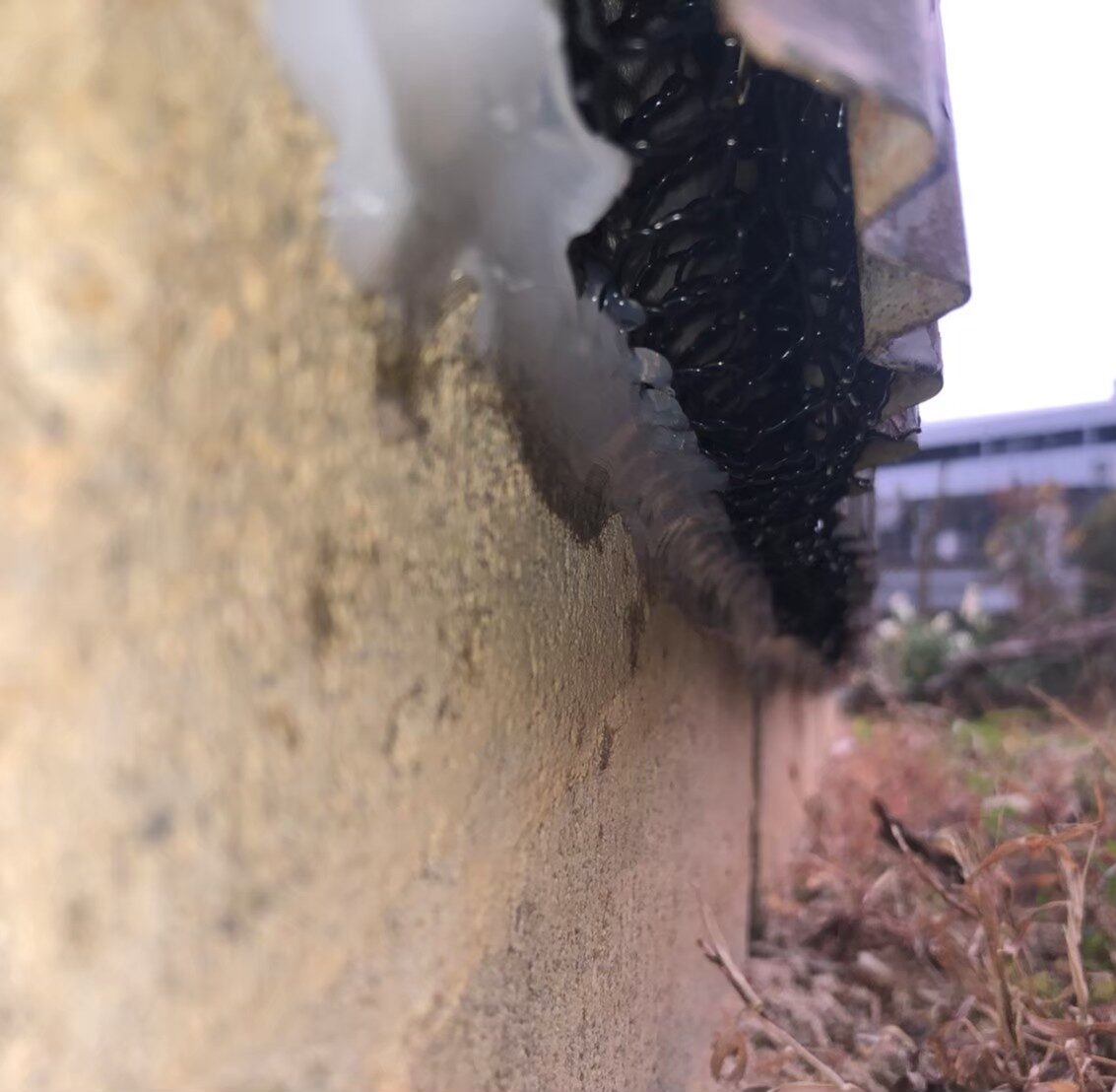 イタチによる被害　T様邸　駆除実績