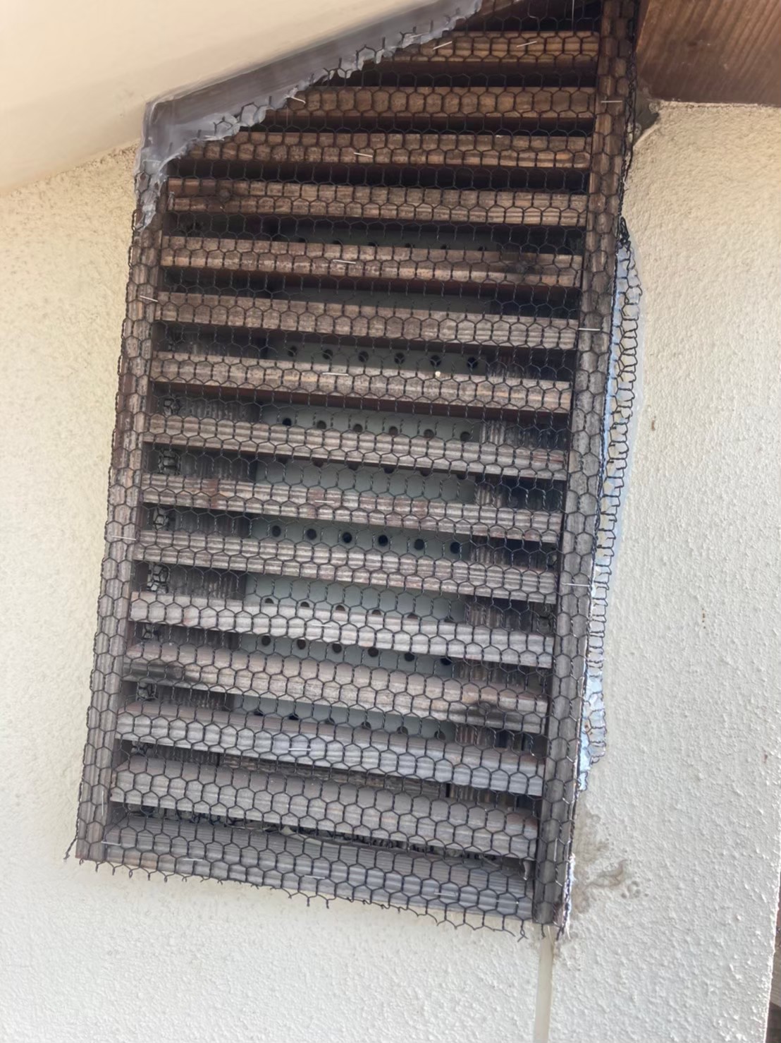 イタチによる被害　S様邸　駆除実績