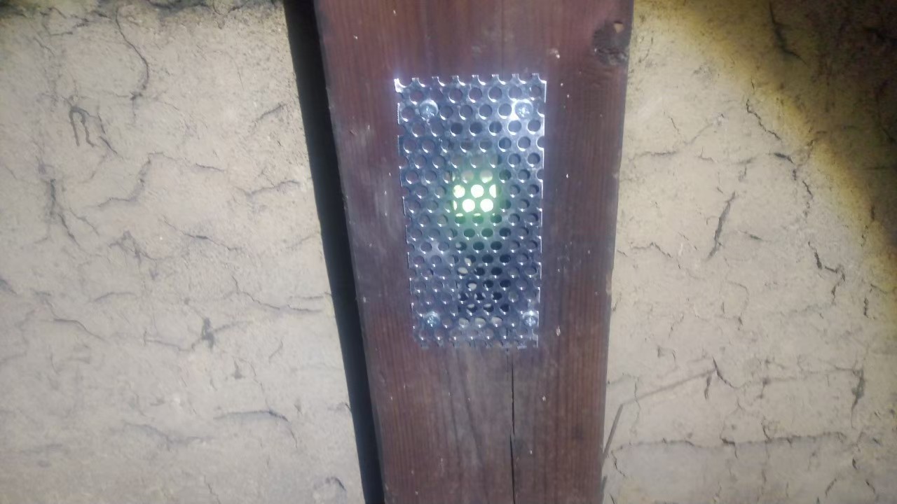 福岡県久留米市　イタチによる被害　T様邸　駆除実績