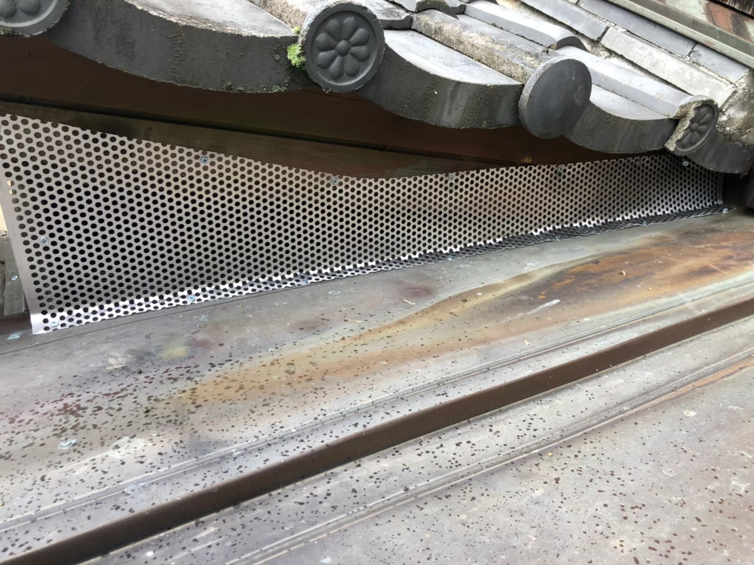 佐賀県佐賀市　イタチによる被害　S様邸　駆除実績