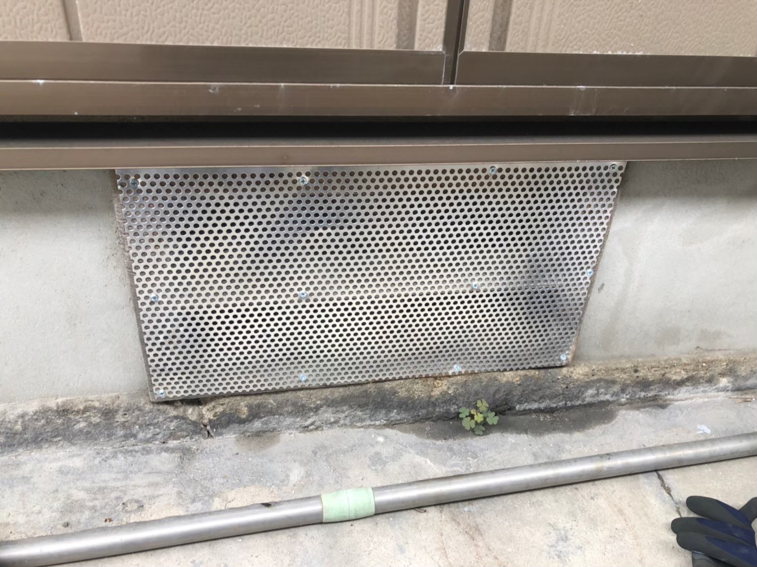 福岡県大牟田市　ネズミによる被害　N様邸　駆除実績