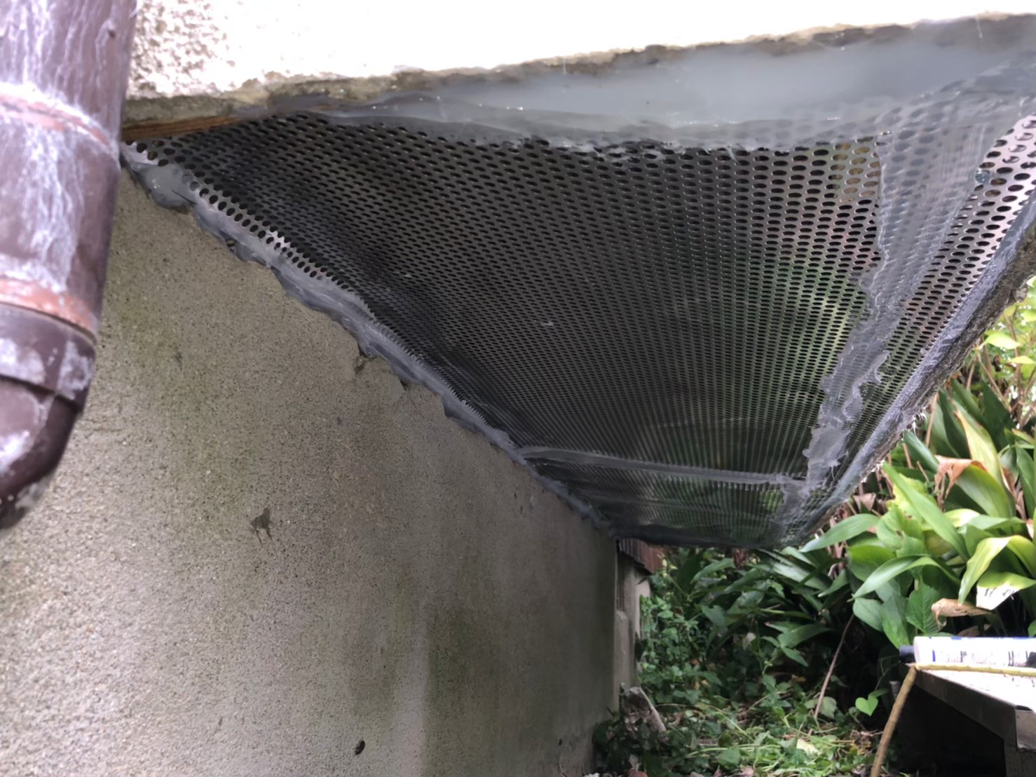 佐賀県唐津市　イタチによる被害　M様邸　駆除実績