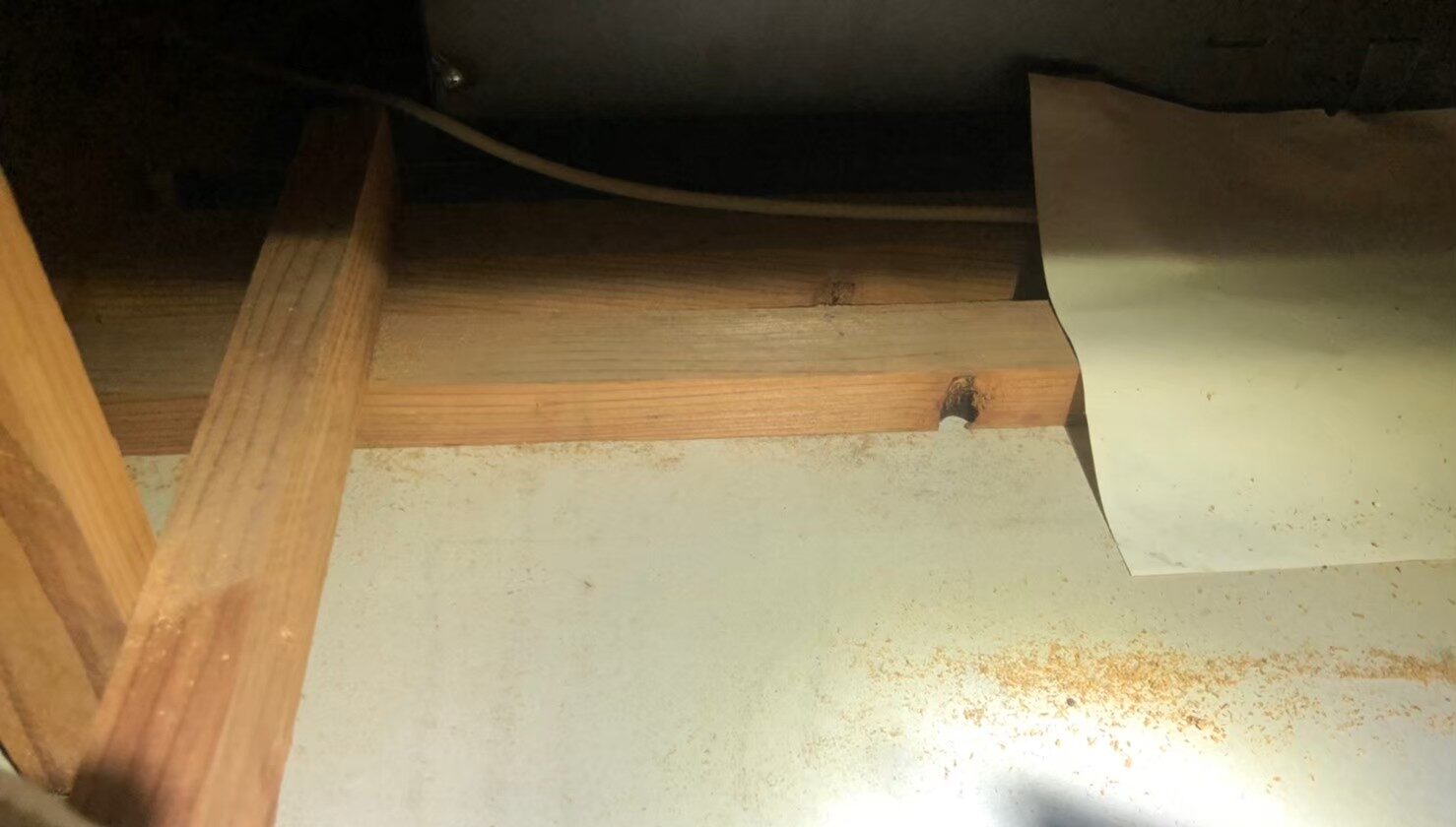 佐賀県 鹿島市　ネズミによる被害　駆除実績