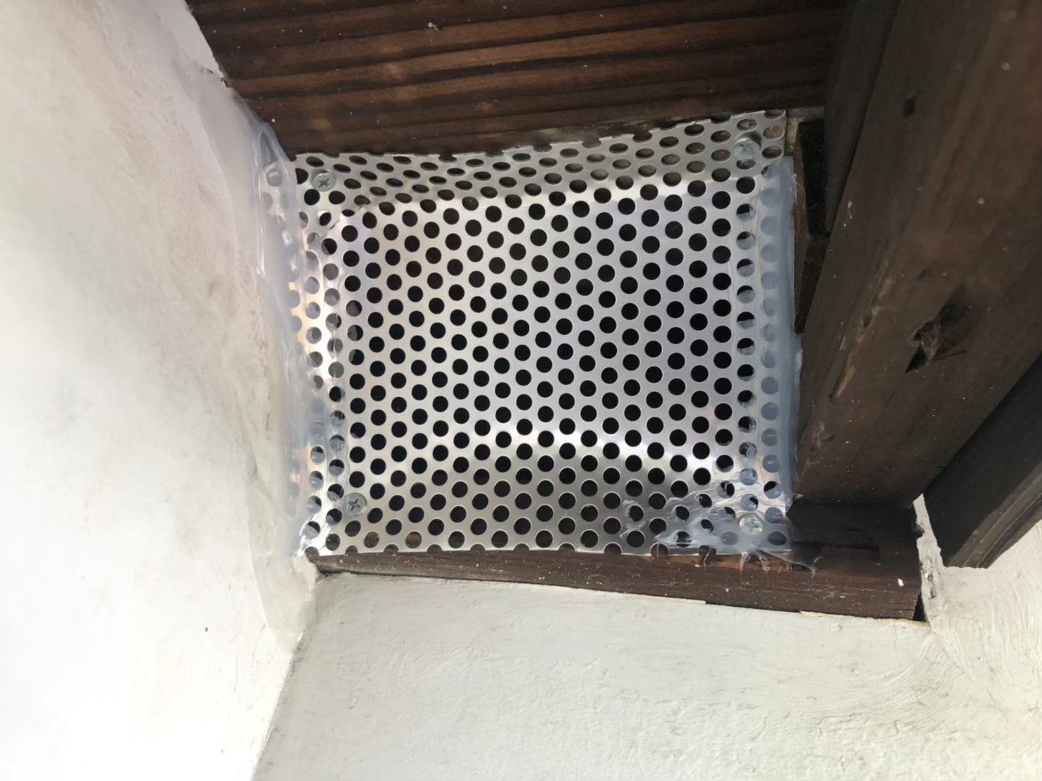 福岡県糸島市　アライグマによる被害　駆除実績