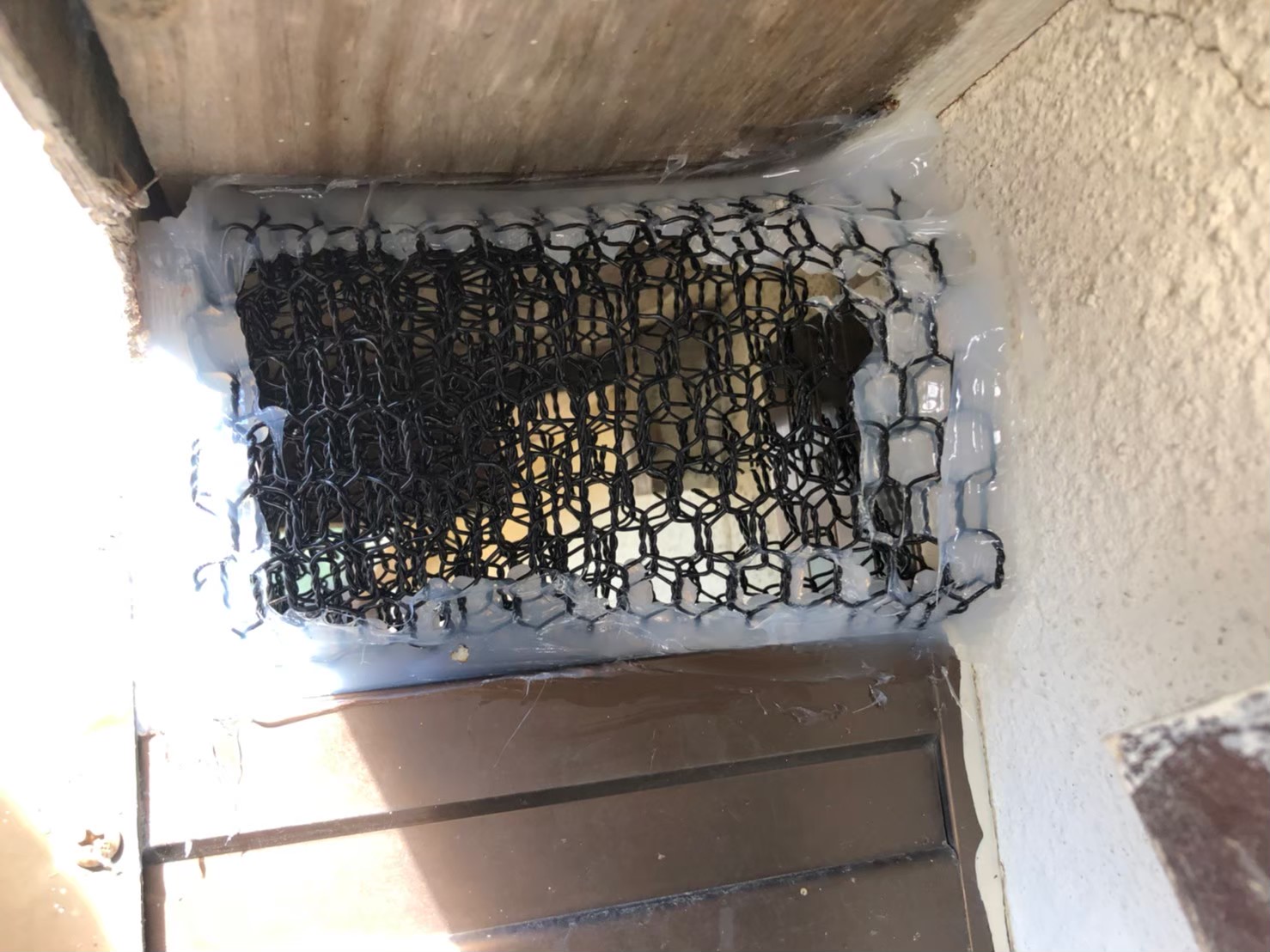 福岡県 久留米市　ネズミによる被害　N様邸　駆除実績