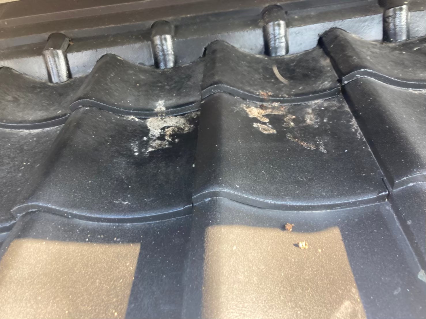 福岡県福岡市　アライグマによる被害　M様邸　駆除実績