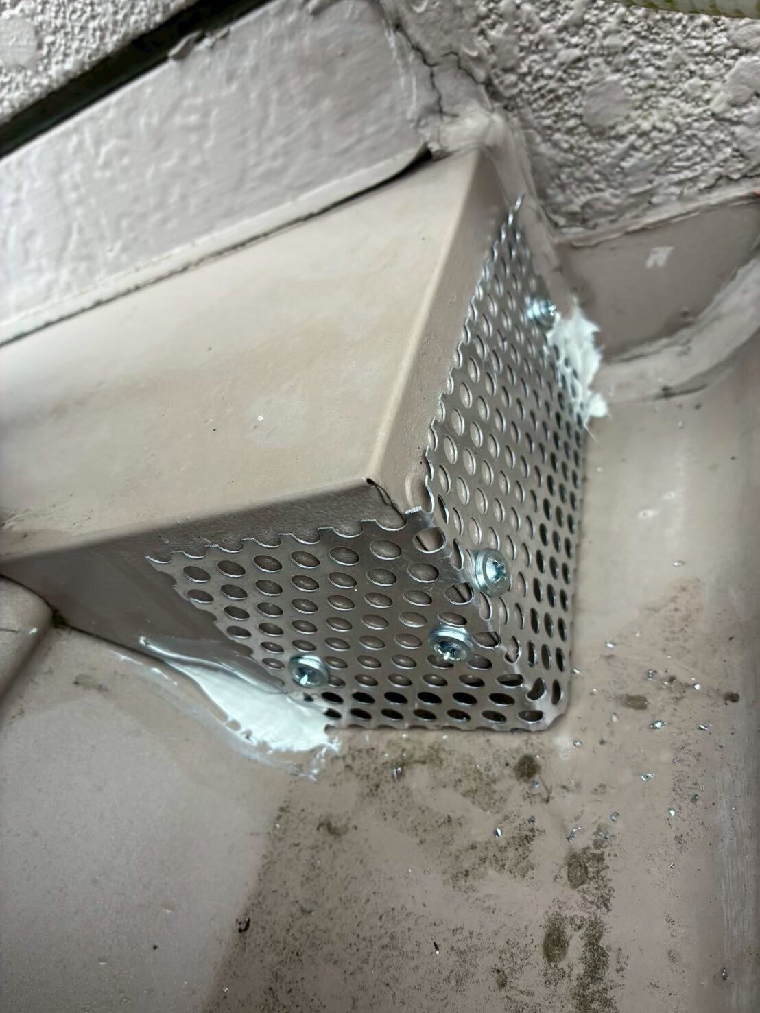 佐賀県多久市　ネズミによる被害　T様邸　駆除実績