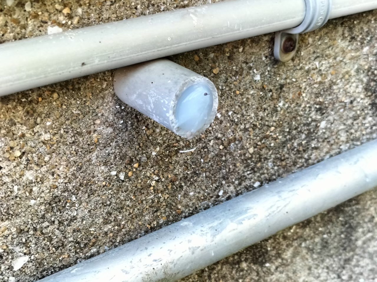 佐賀県小城市　ネズミによる被害　A様邸　駆除実績