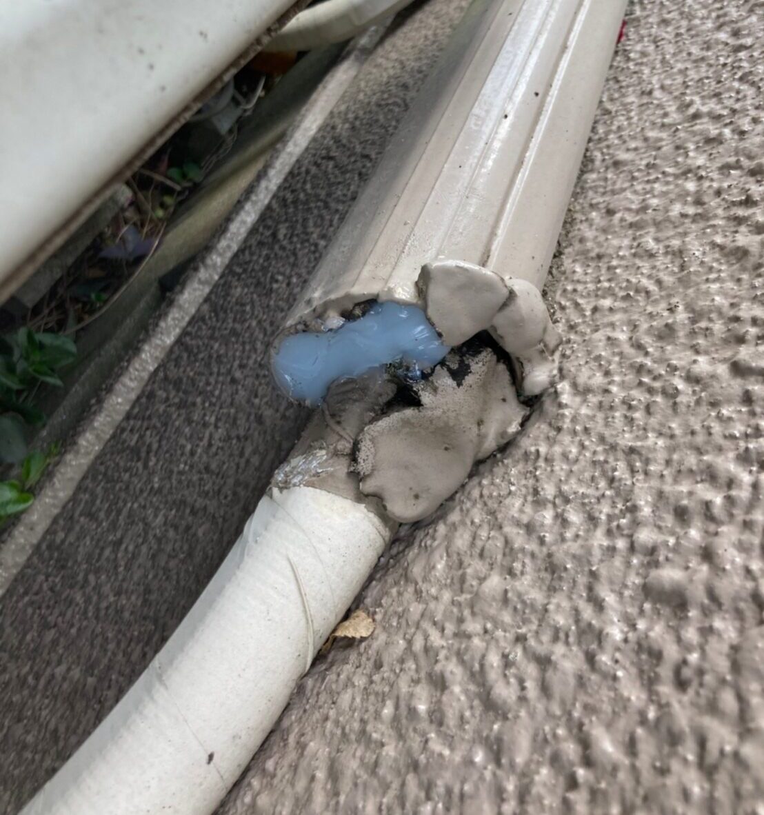 福岡県行橋市　ネズミによる被害　K様邸　駆除実績