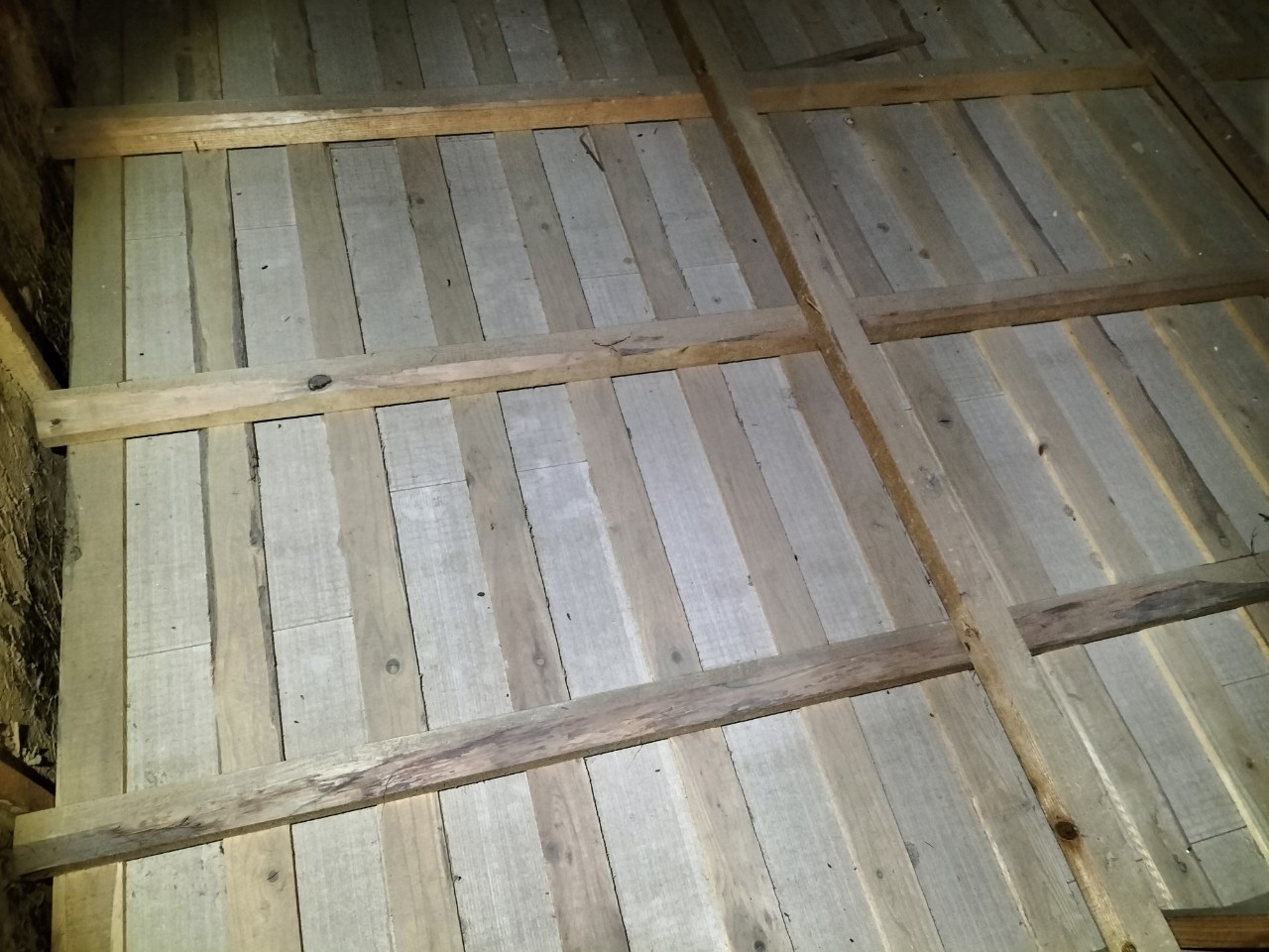 佐賀県嬉野市　イタチによる被害　株式会社G　A様　駆除実績