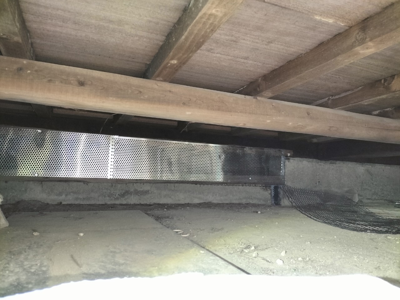 佐賀県多久市　アライグマによる被害　U様邸　駆除実績