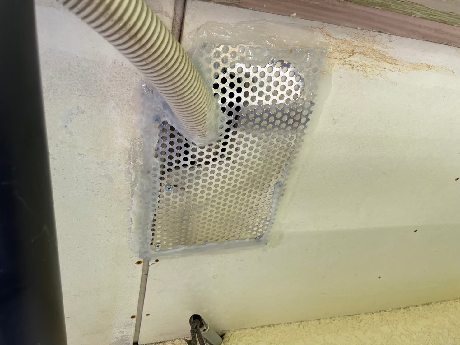 福岡県糟屋郡篠栗町　ネズミによる被害　Y様邸　駆除実績